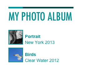 
MY PHOTO ALBUM

Portrait
New York 2013

Birds
Clear Water 2012
